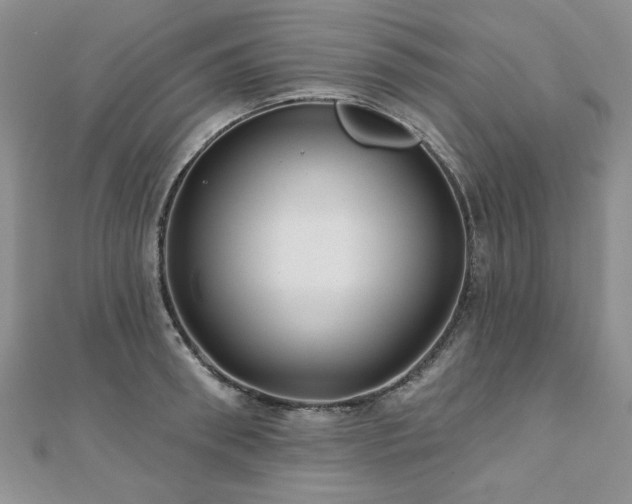X0000110880898200906181222