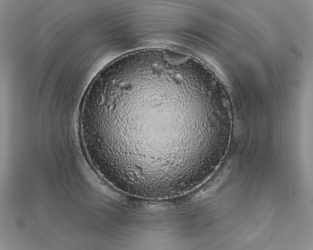 X0000110880899200906181222