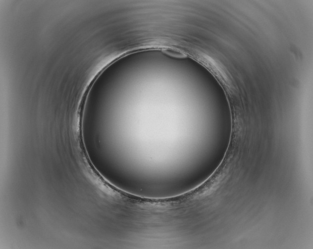 X0000110880900200906181222