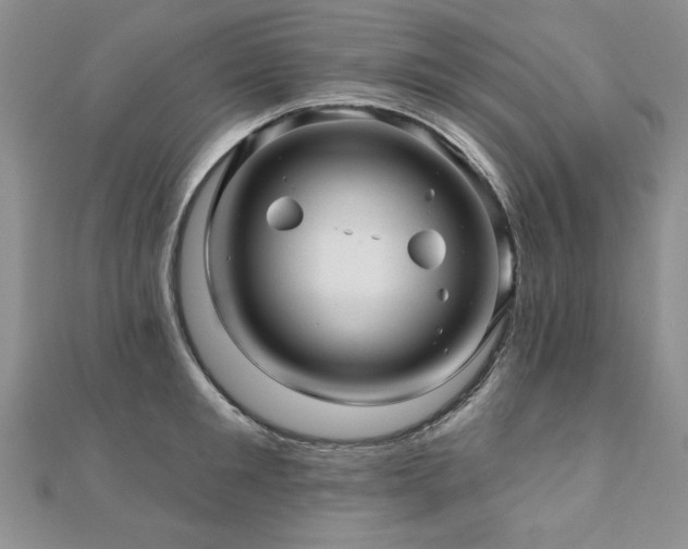X0000110880901200906181222