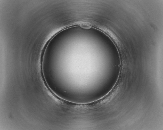 X0000110880902200906181222