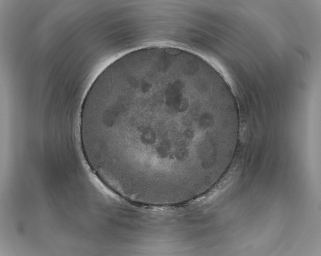 X0000110880903200906181222