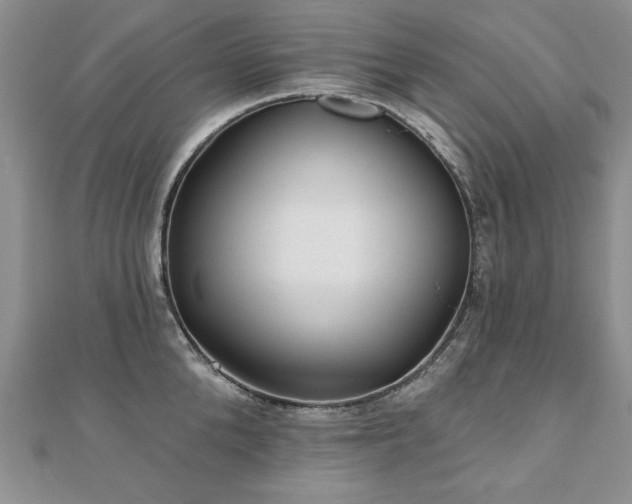 X0000110880904200906181222