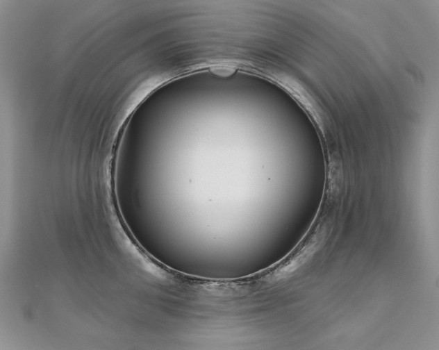 X0000110880906200906181222