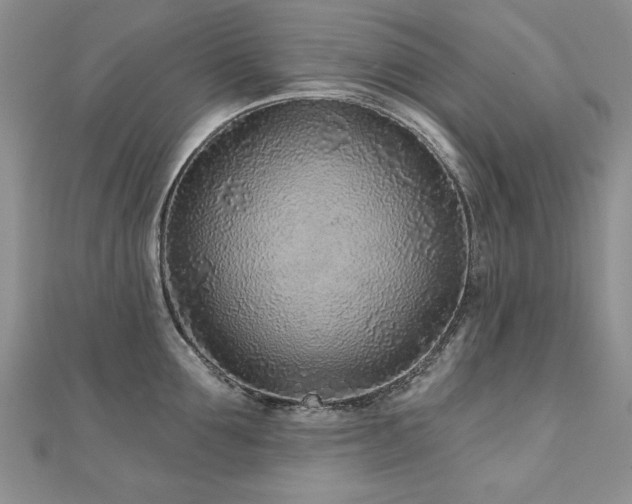 X0000110880907200906181222