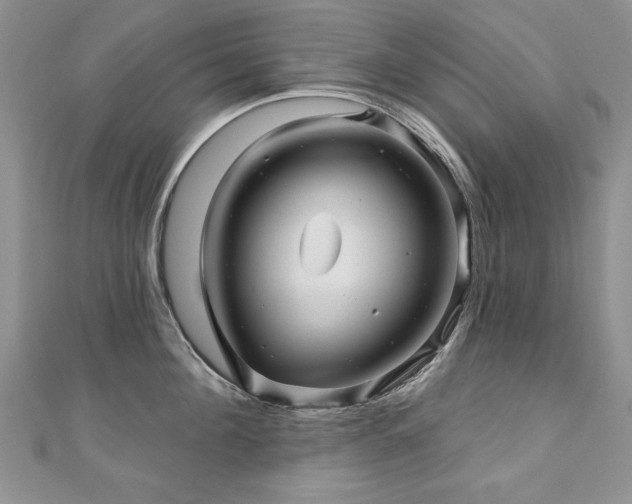 X0000110880908200906181222