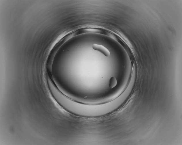 X0000110880909200906181222