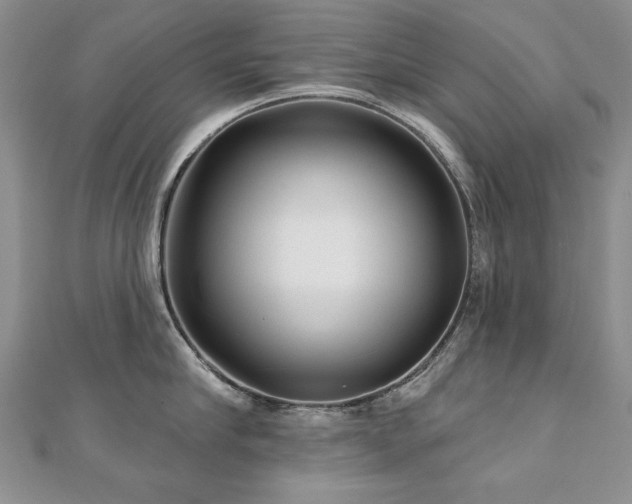 X0000110880910200906181222