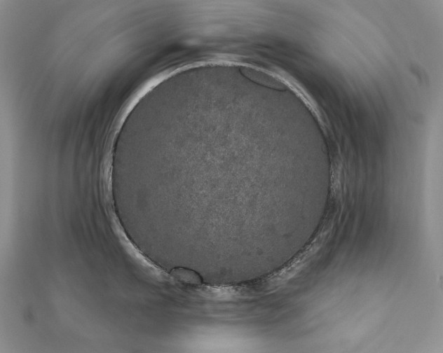 X0000110880911200906181222