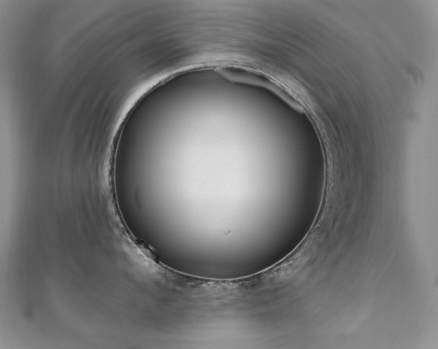 X0000110880912200906181222