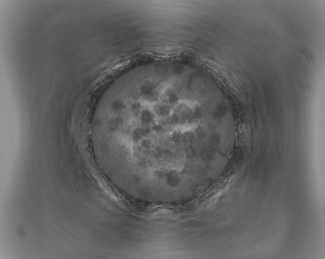 X0000110880913200906181222