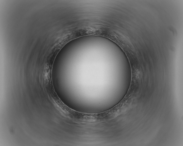 X0000110880914200906181222