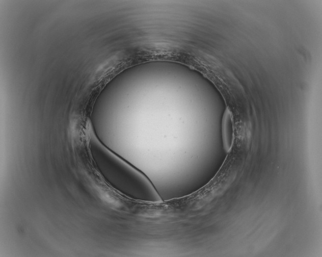 X0000110880916200906181222