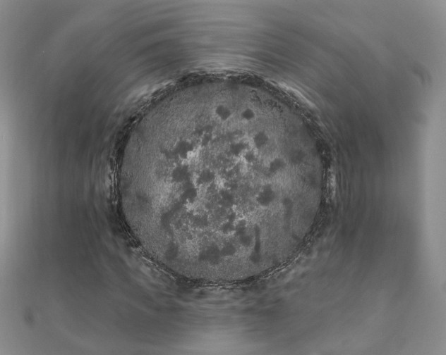 X0000110880917200906181222