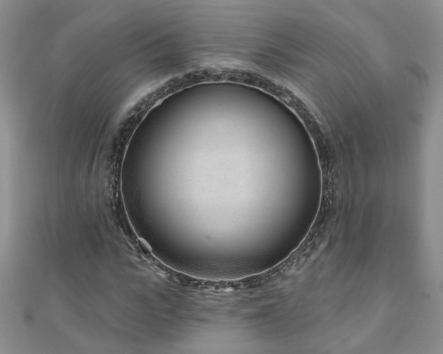 X0000110880919200906181222