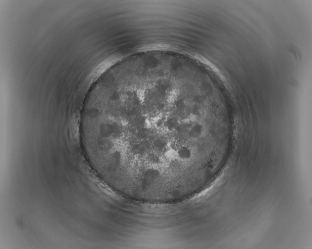 X0000110880921200906181222