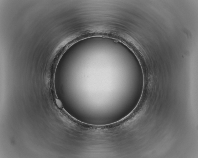 X0000110880922200906181222