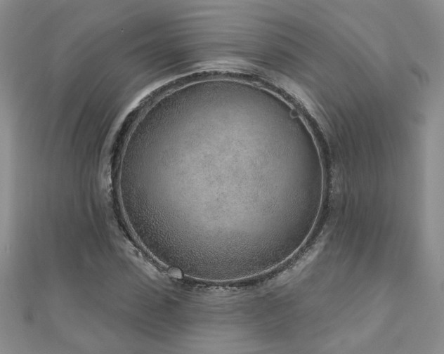 X0000110880923200906181222