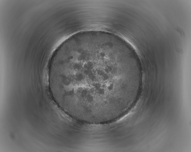 X0000110880925200906181222