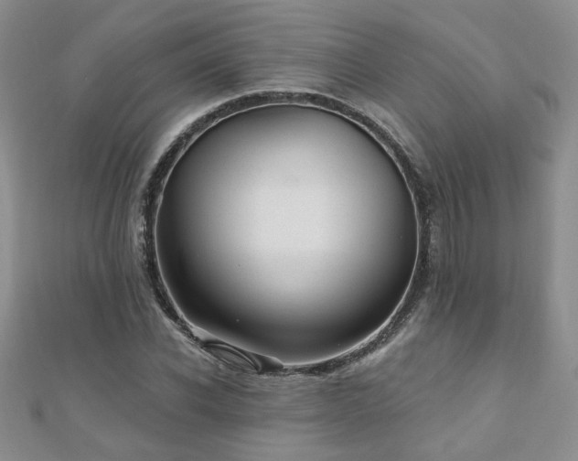 X0000110880926200906181222