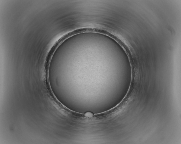 X0000110880927200906181222