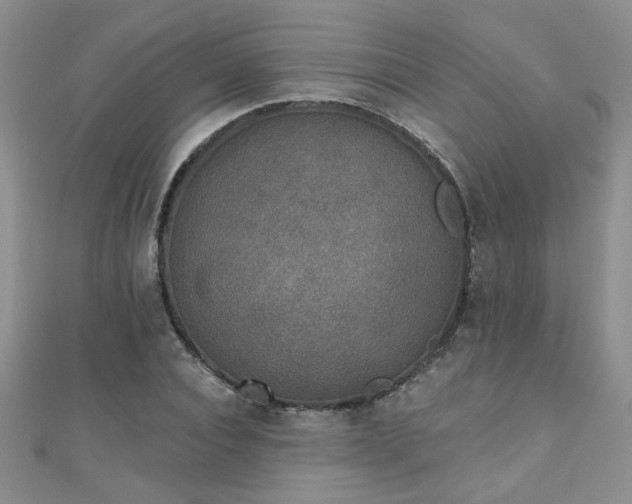 X0000110880928200906181222