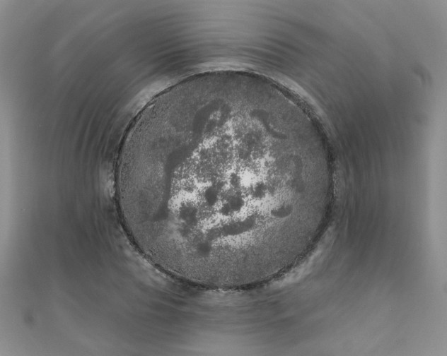 X0000110880929200906181222