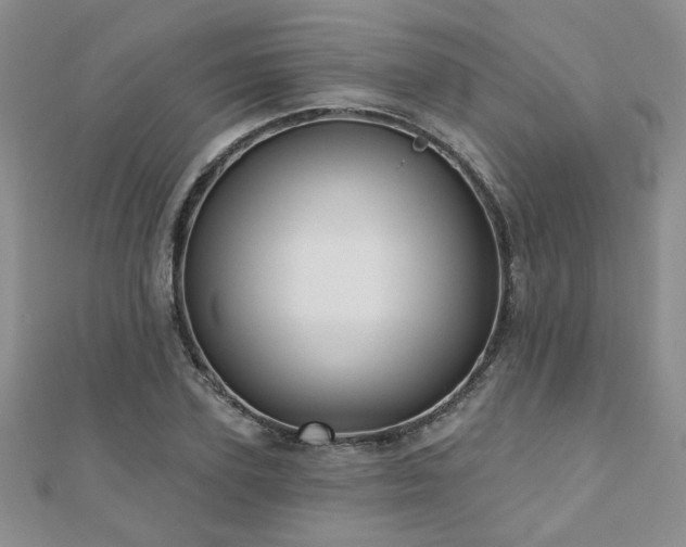 X0000110880931200906181222