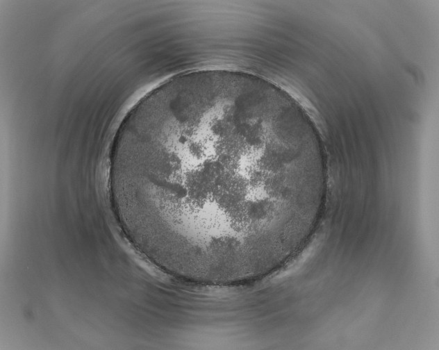 X0000110880933200906181222
