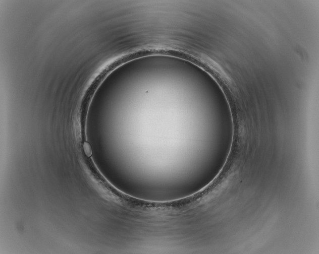 X0000110880934200906181222