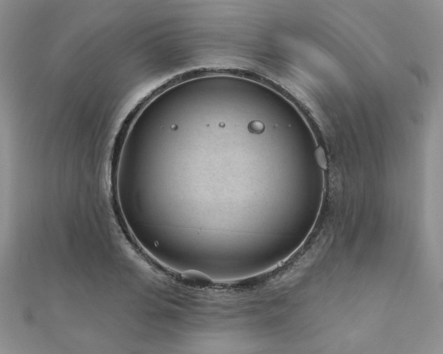 X0000110880935200906181222