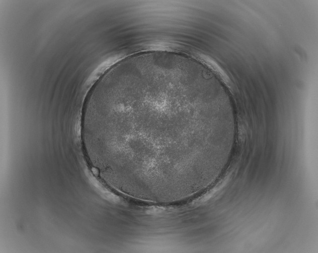 X0000110880938200906181222