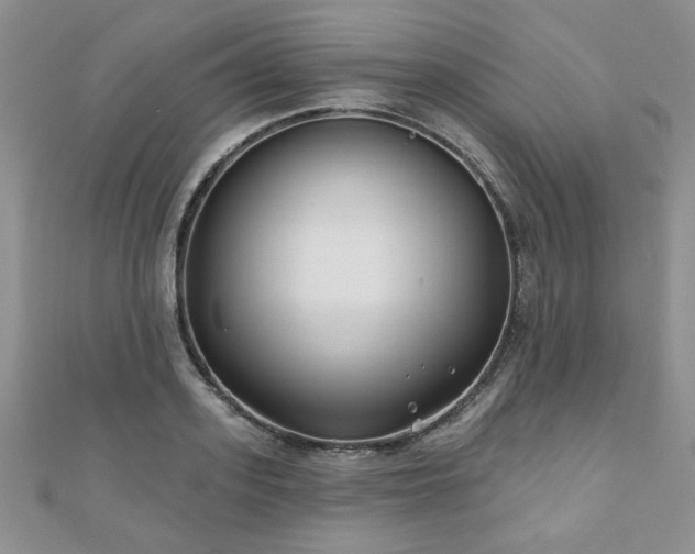 X0000110880939200906181222