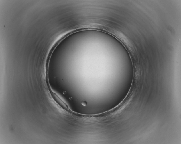 X0000110880940200906181222