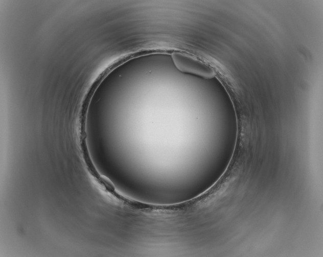 X0000110880942200906181222