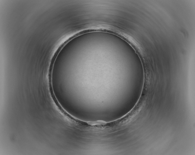X0000110880943200906181222