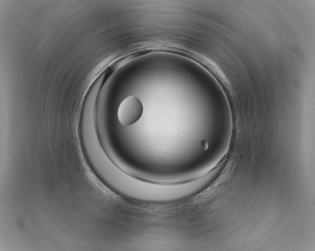 X0000110880946200906181222