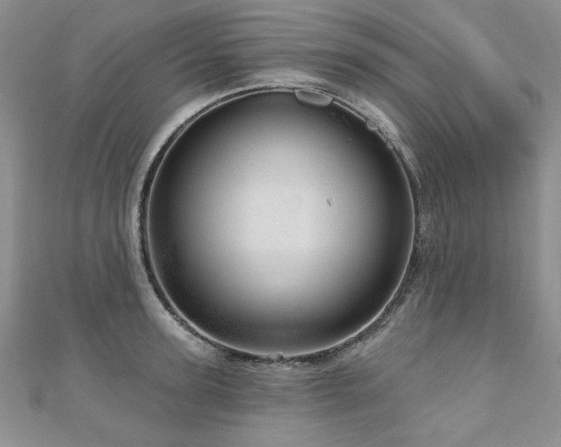 X0000110880947200906181222