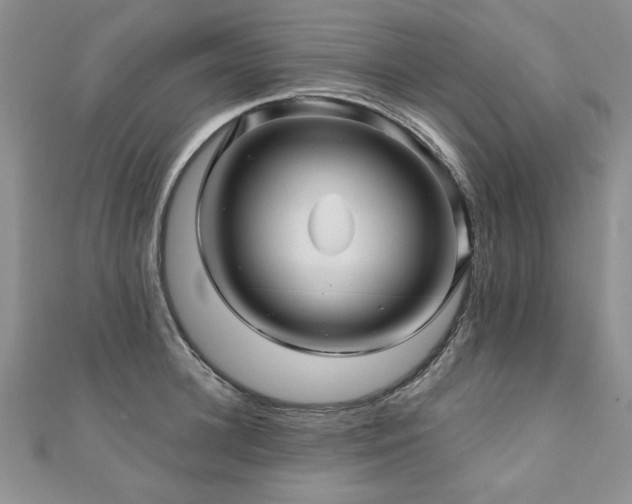 X0000110880948200906181222
