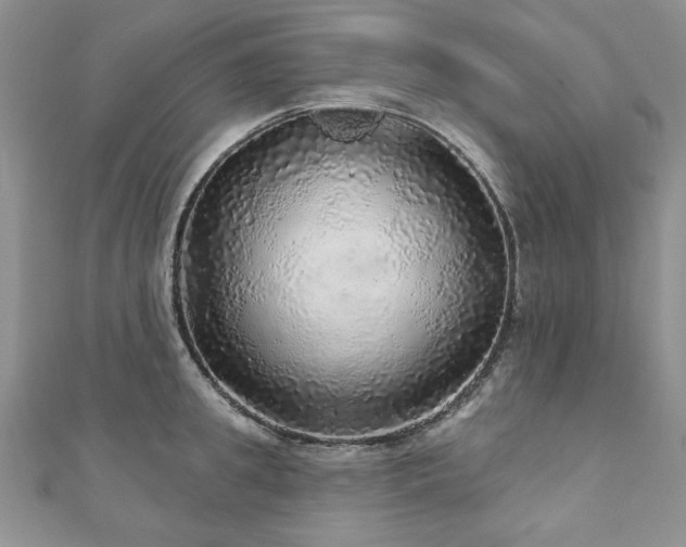 X0000110880949200906181222
