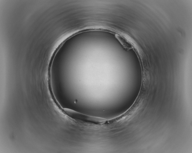 X0000110880951200906181222