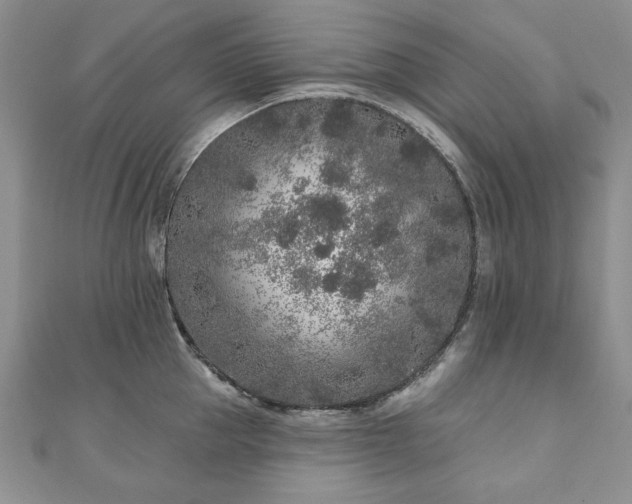 X0000110880953200906181222
