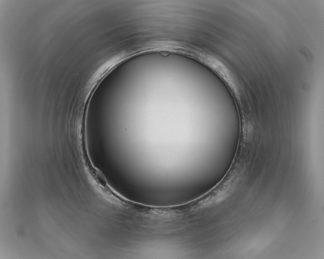 X0000110880954200906181222
