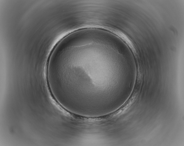 X0000110880958200906181222