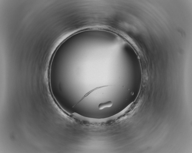 X0000110880959200906181222