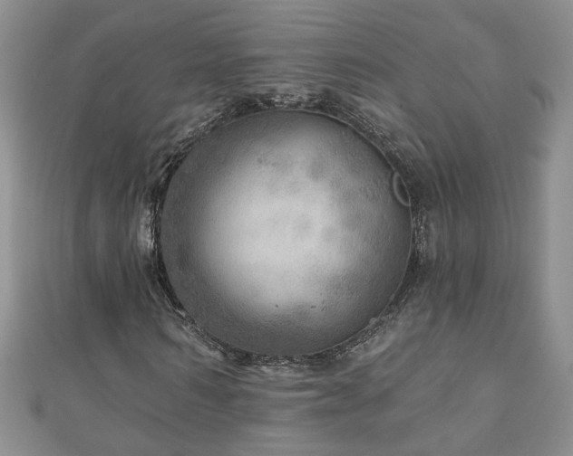 X0000110880962200906181222