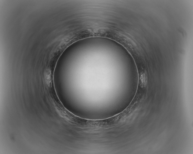 X0000110880963200906181222