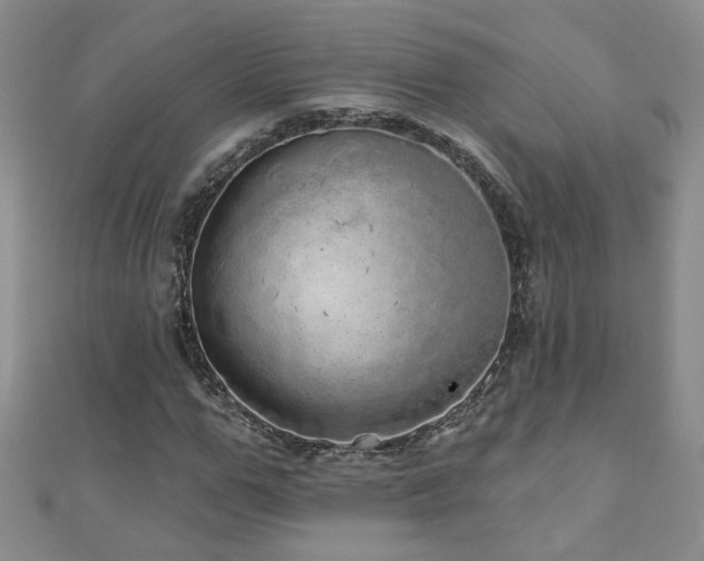 X0000110880967200906181221