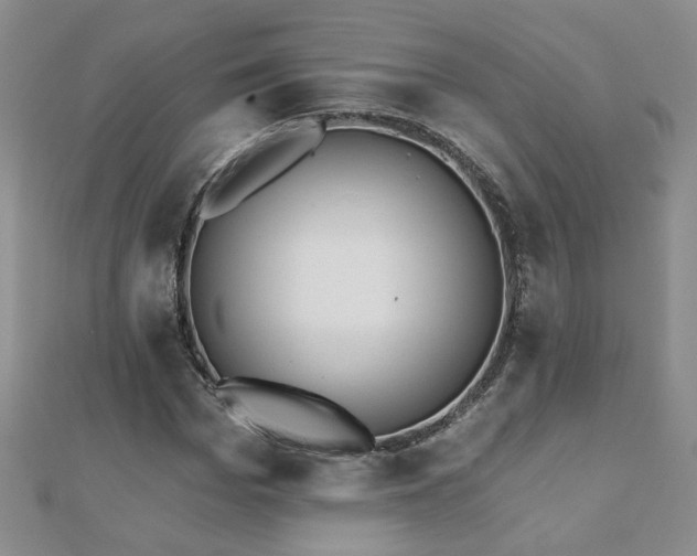 X0000110880969200906181221