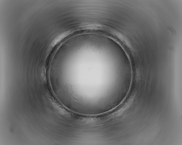 X0000110880970200906181221
